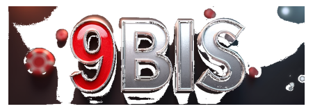 9bis logo